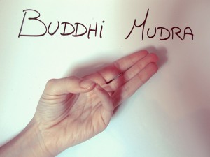 Buddhi-mudra.jpg