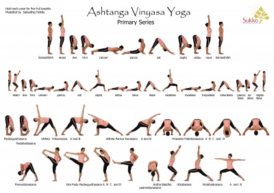 Ashtanga Yoga - Yogapedia.it