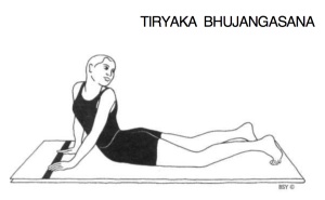 Tiryaka-Bhujangasana.jpg
