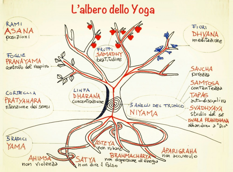 File:Albero-yoga-8passi.jpg
