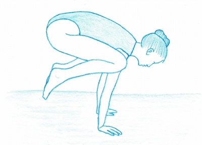 Bakasana1.jpg